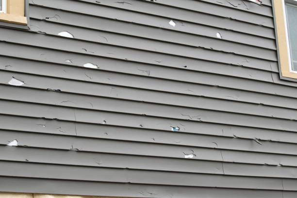 Best Same-Day Junk Removal Services  in Brushy, OK